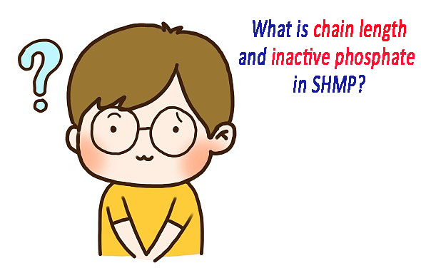 Understanding Chain Length and Inactive Phosphates in Sodium Hexametaphosphate (SHMP): Formation, Effects, and Performance Impact